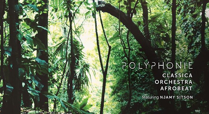 foto-cover-web-polyphonie cut